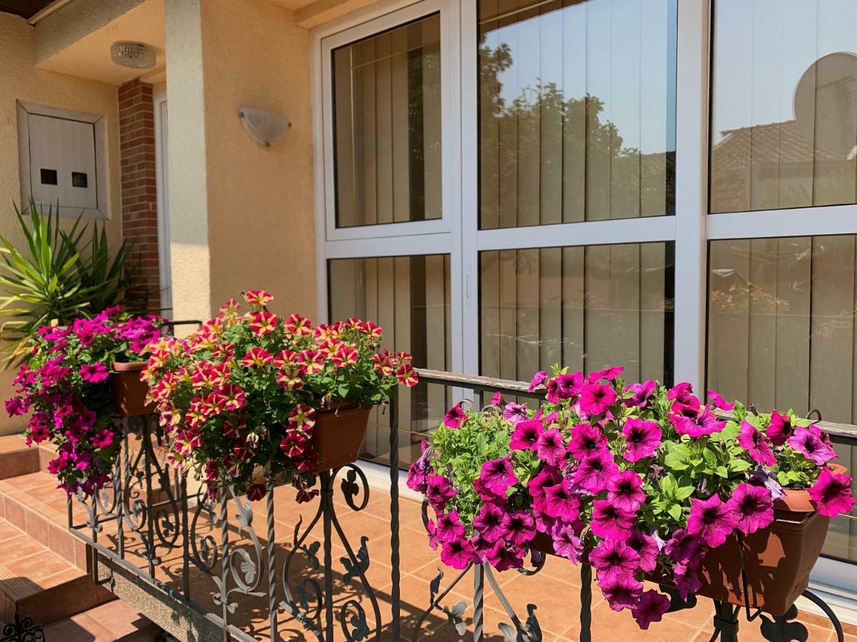Eleni Appartement *